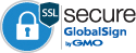 Logo de Seguridad